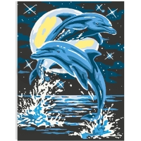 Dolphins in the night