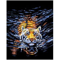 Tiger in the water 50x65