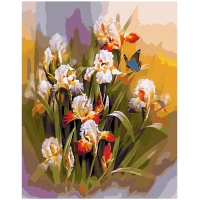 Field irises