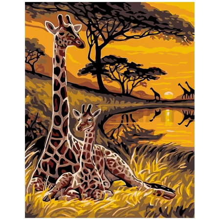 Safari