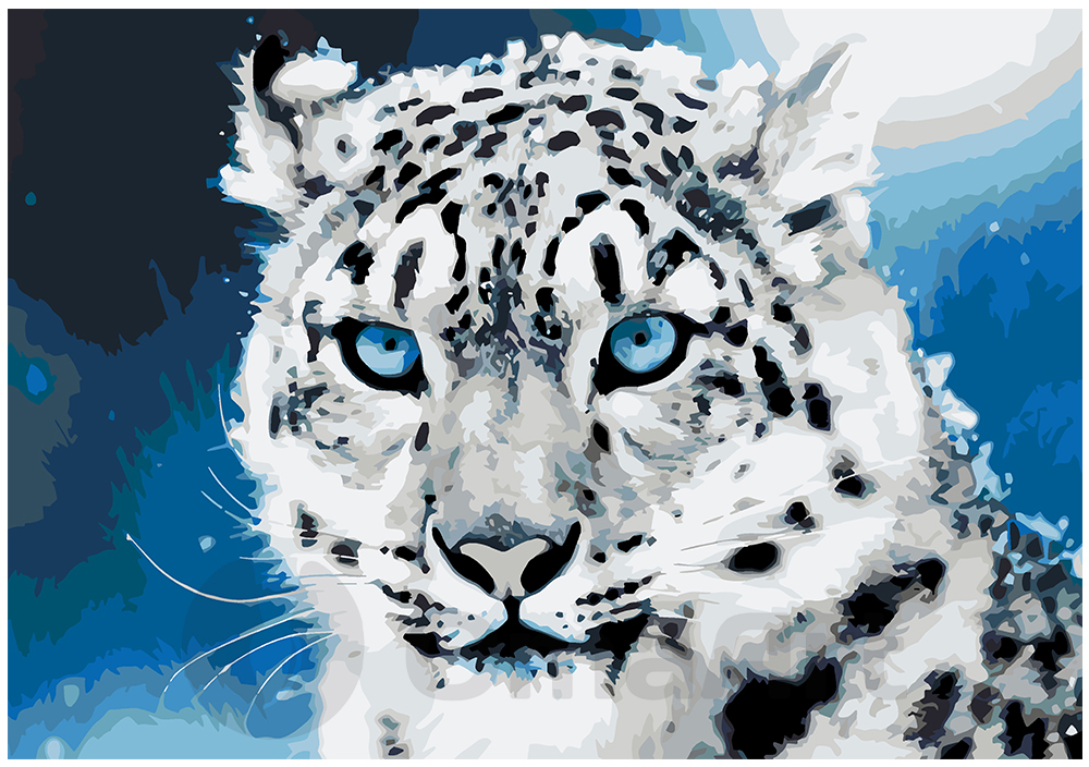 Sniego leopardas 35x50