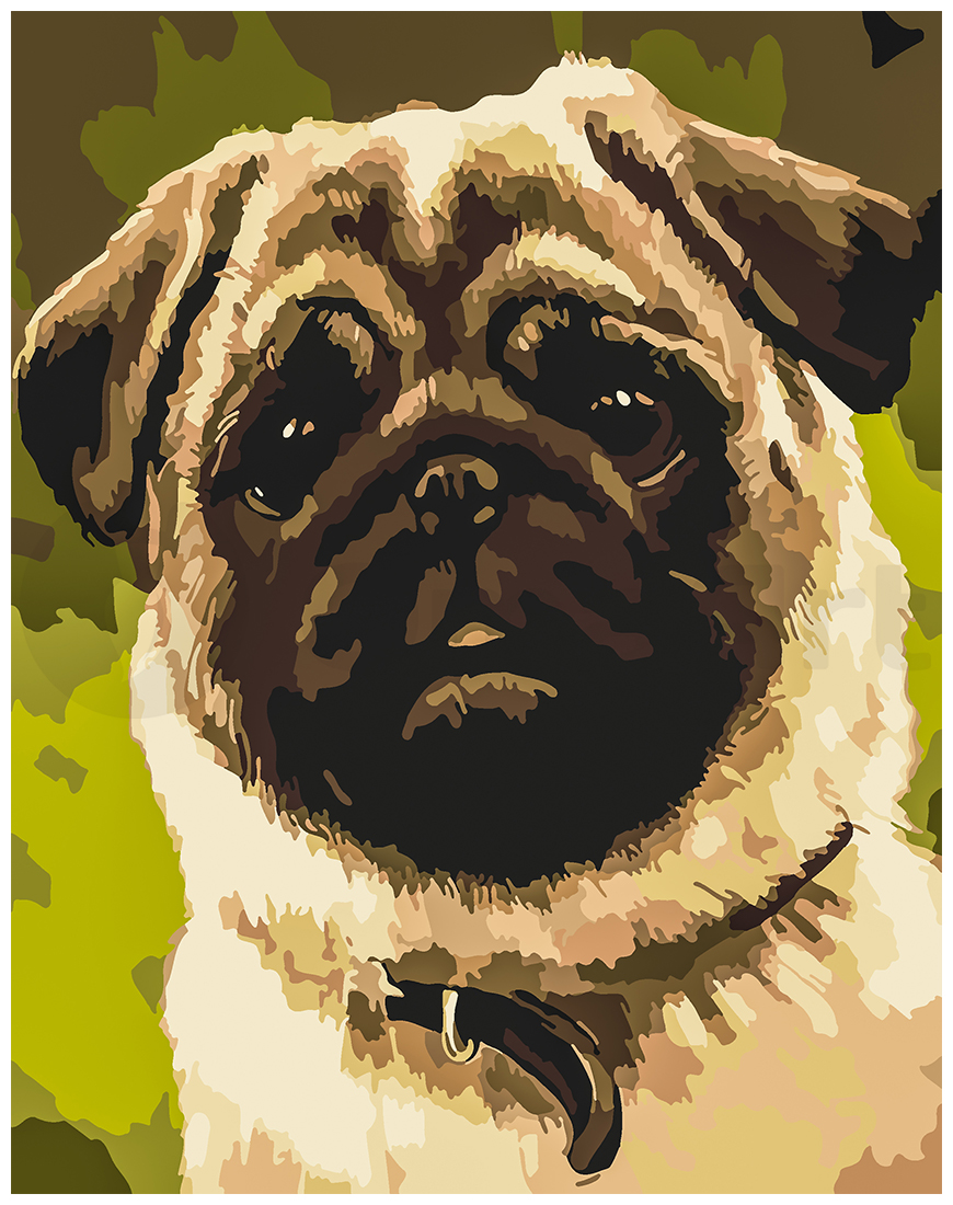 Pug